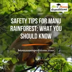 Safety Tips for Manu Rainforest: What You Should Know