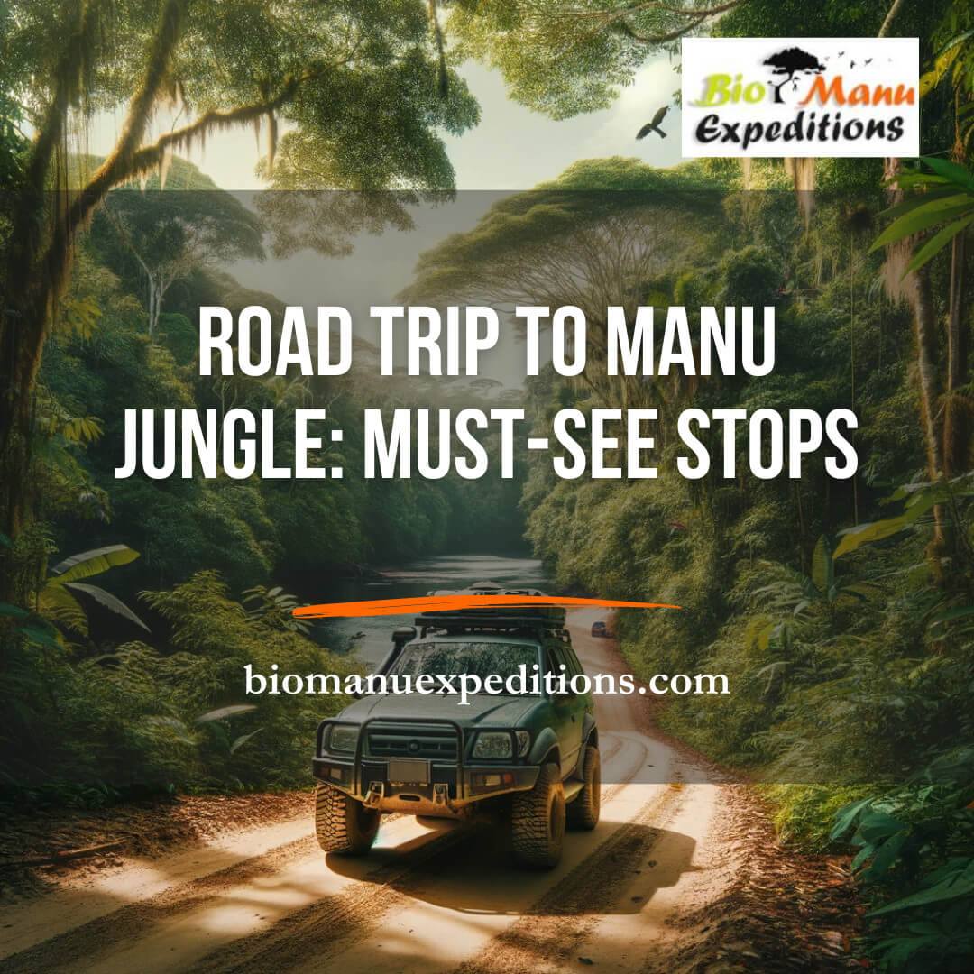 Road Trip to Manu Jungle: Must-See Stops