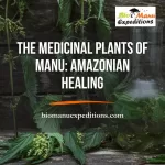 The Medicinal Plants of Manu: Amazonian Healing