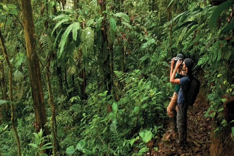 Road Trip to Manu Jungle: Must-See Stops