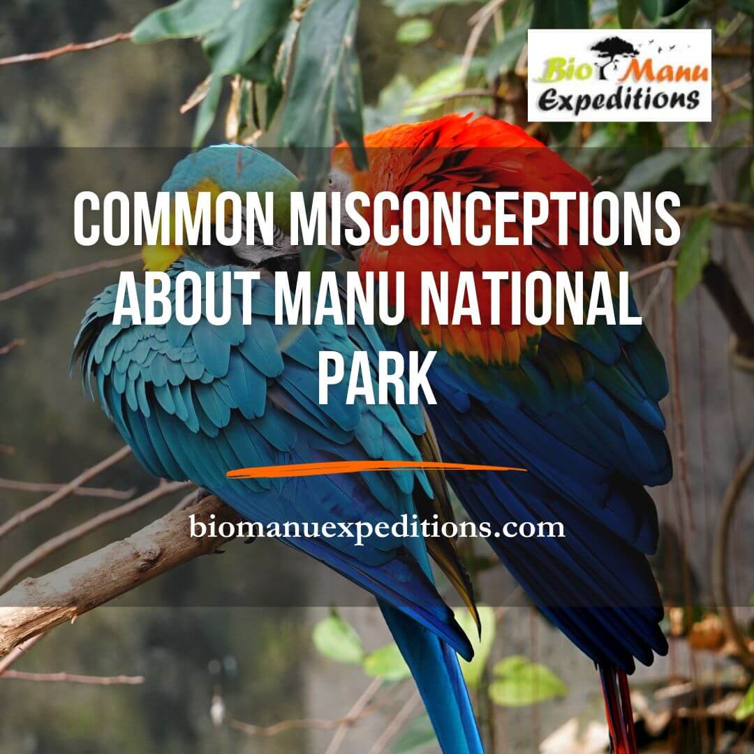 Common Misconceptions about Manu National Park