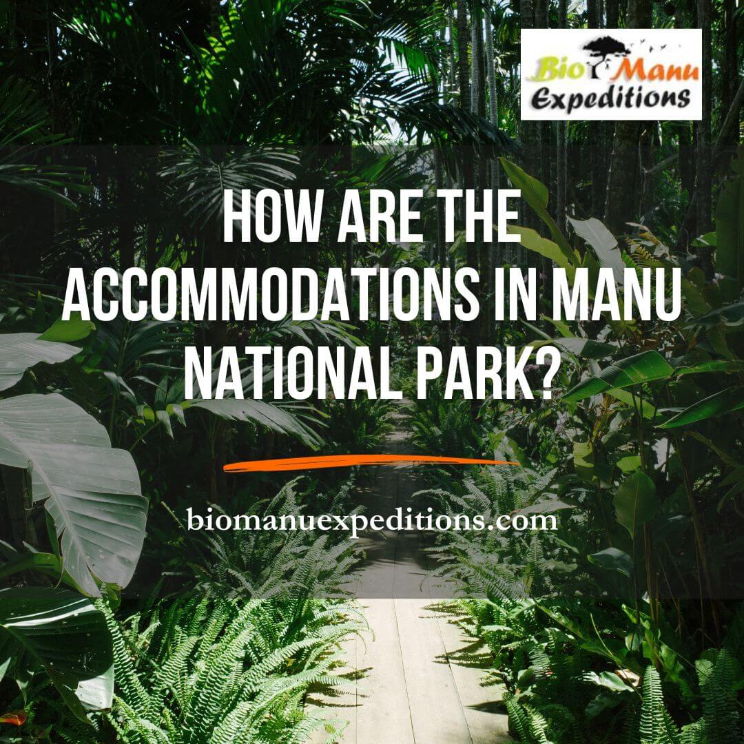 How are the accommodations in Manu National Park?