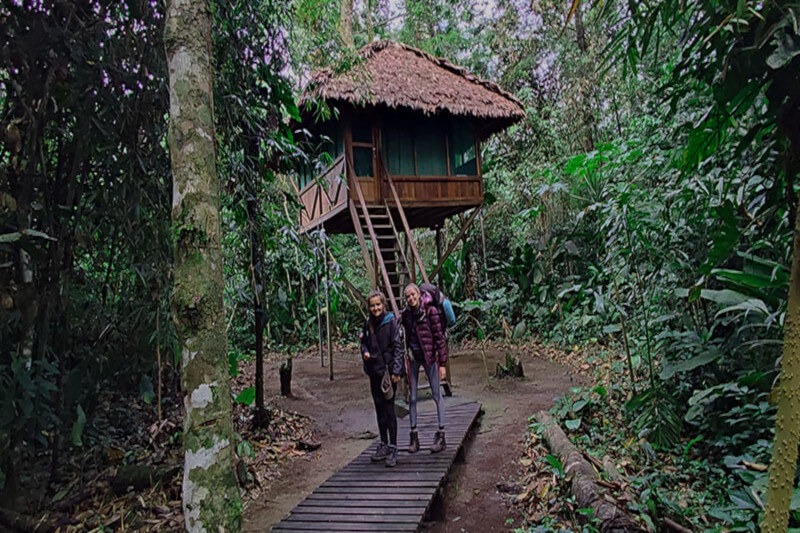 How are the accommodations in Manu National Park?