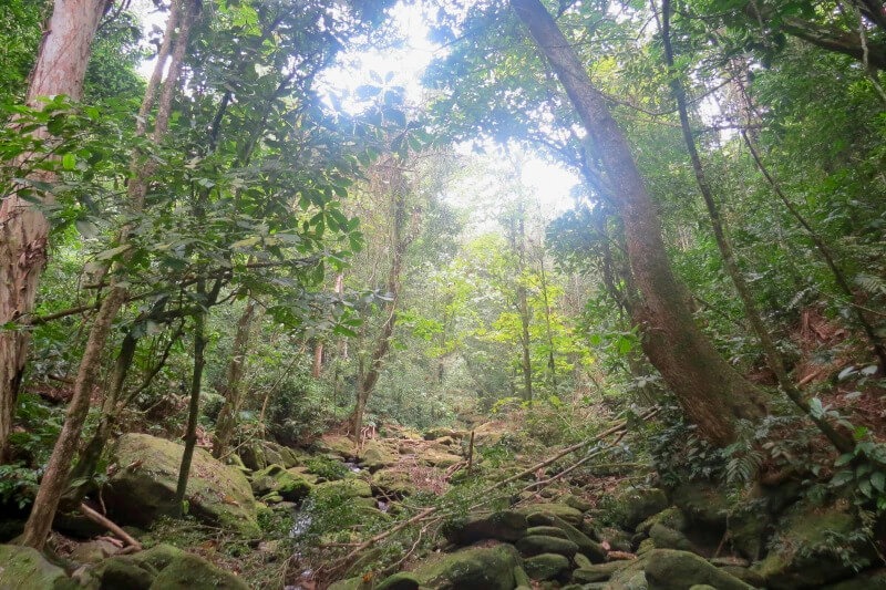 Camping in Manu: Starry Nights and Jungle Sounds