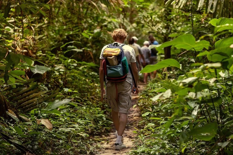 Camping in Manu: Starry Nights and Jungle Sounds