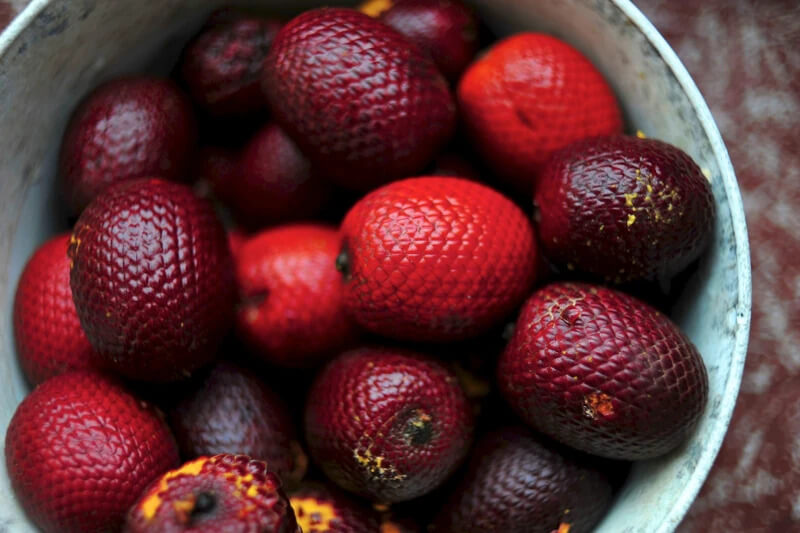 Top 5 Manu's Exotic Fruits That You Should Try