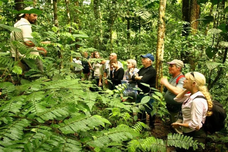 Why Manu National Park Should Be on Every Bucket List