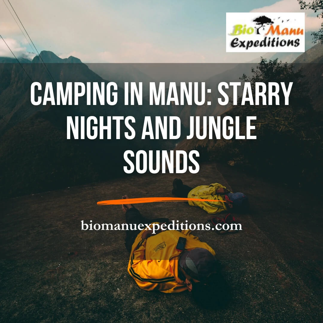 Camping in Manu: Starry Nights and Jungle Sounds