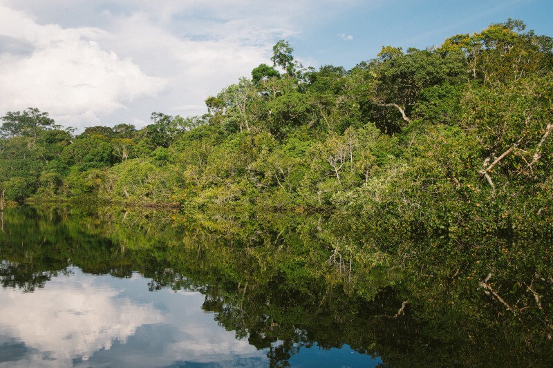 Rafting and Kayaking in Manu: River Adventures