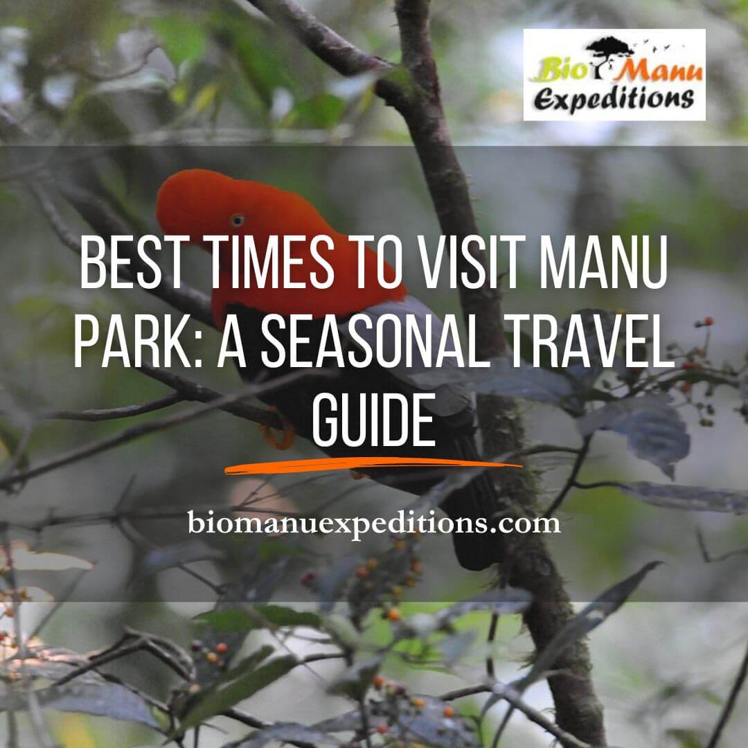 visit manu park