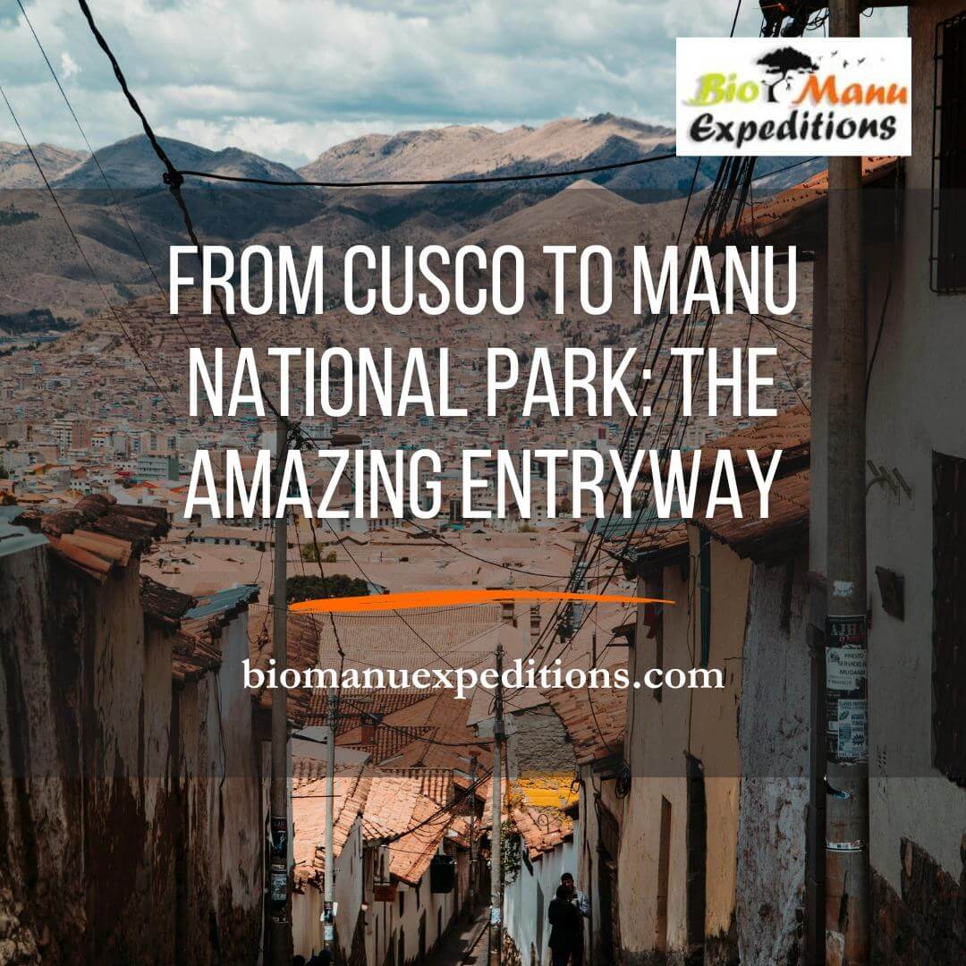 cusco to manu