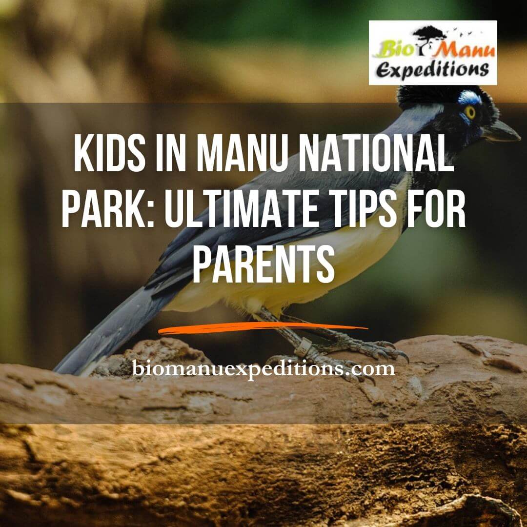 Manu National Park