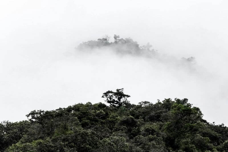 Manu National Park
