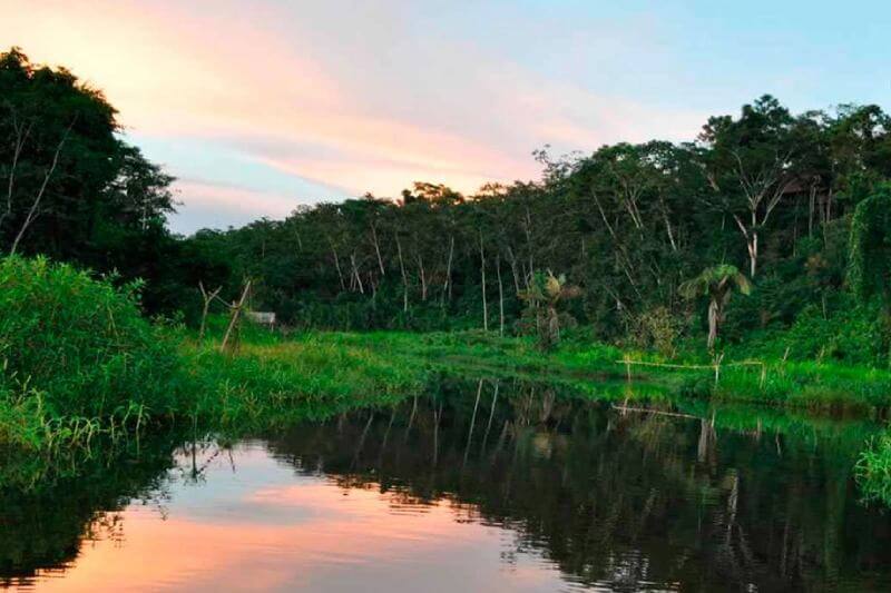 Rio madre de dios