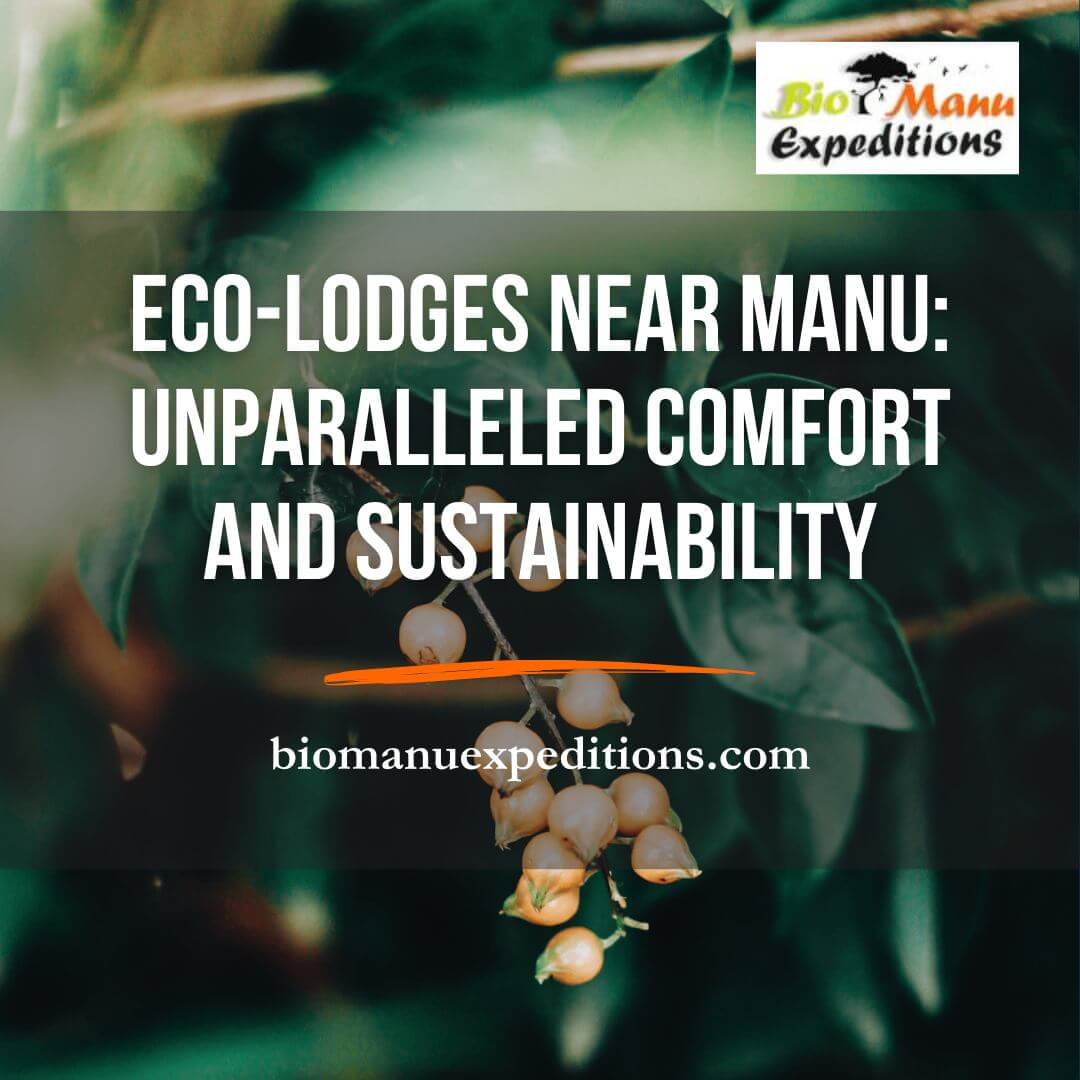 Eco-lodges near Manu