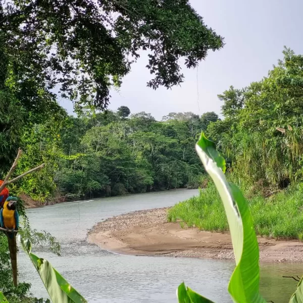 Biomanu Expeditions, Manu Wildlife Peru is a destination like no other, offering a unique blend of natural beauty and cultural richness. Whether you're an avid hiker or a nature lover, the trails here promise an unforgettable experience.