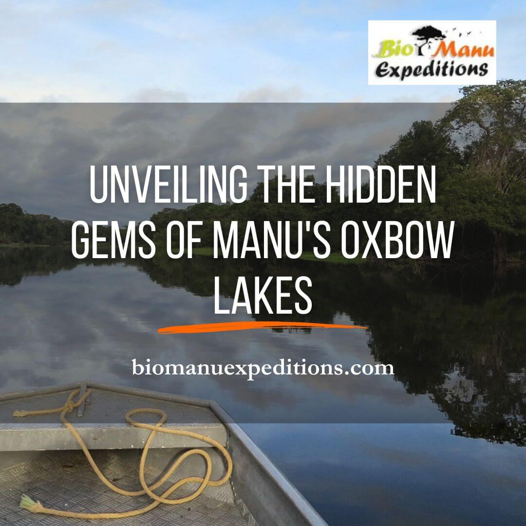 Manu's Oxbow Lakes