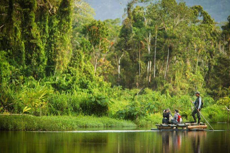 The Founding of Manu