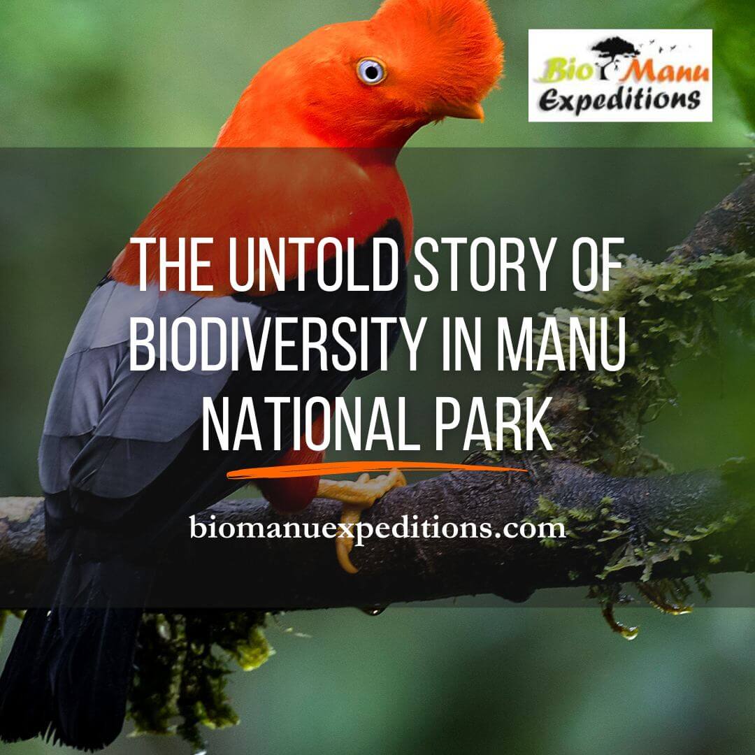 Story of Biodiversity in Manu National Park