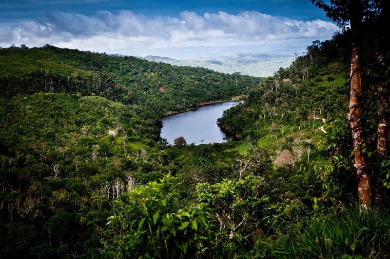 Biodiversity in Manu