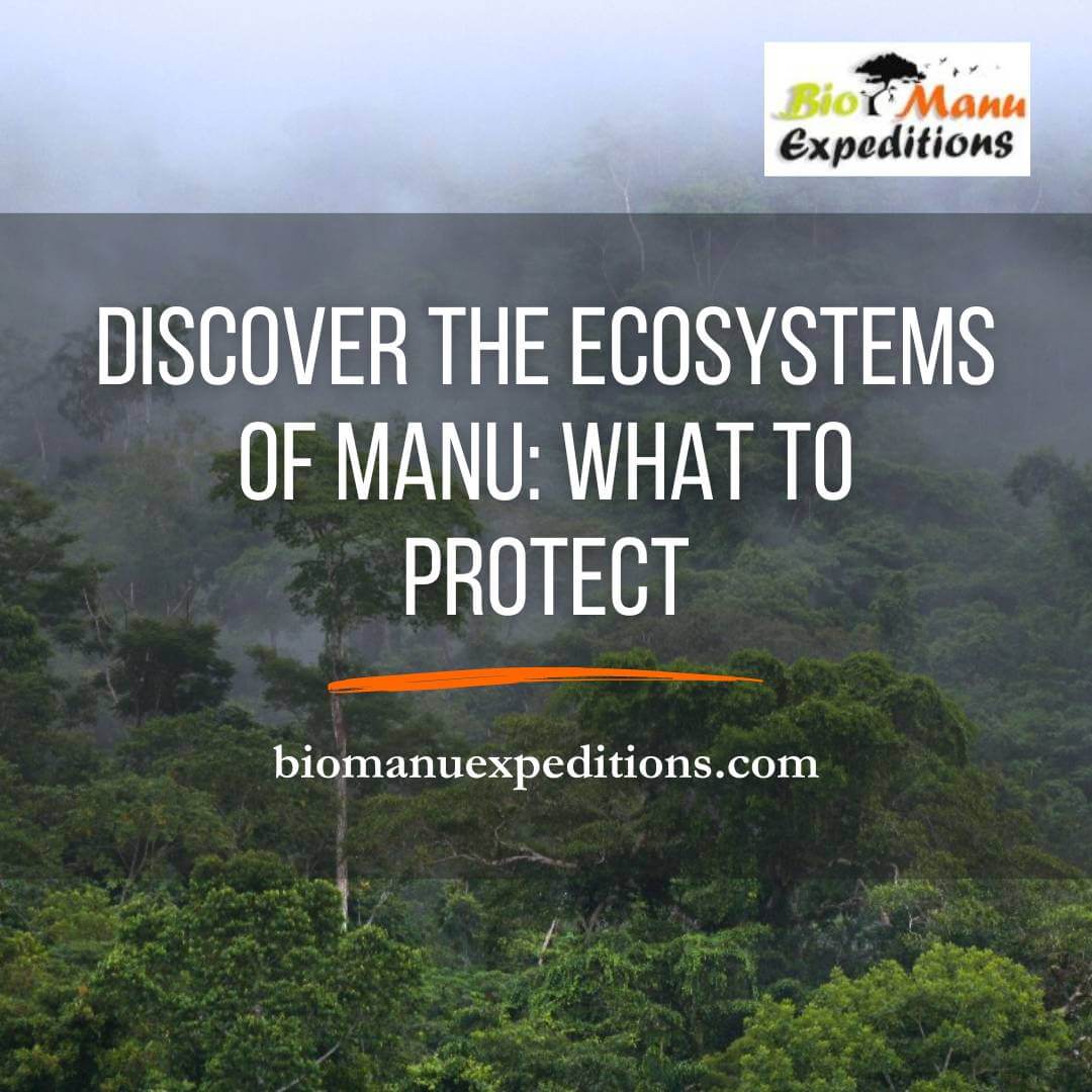 Ecosystems in Manu