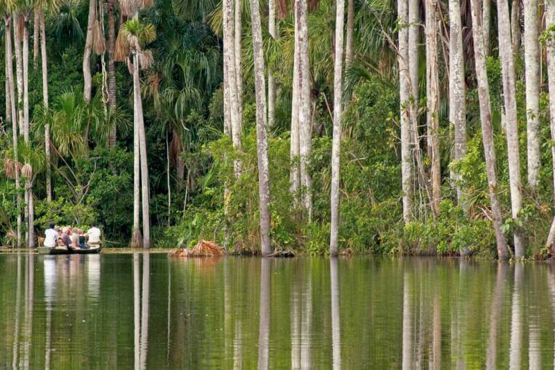 Ecosystems of Manu wetlands