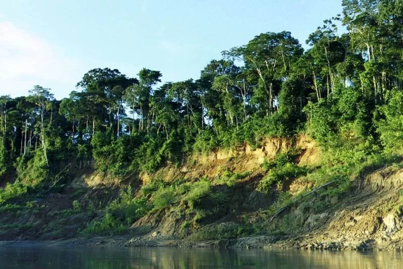 advice for manu expeditions