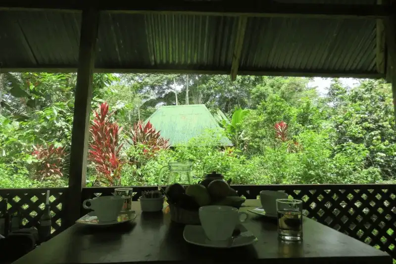 Manu Ecolodges Stand Out in the Amazon