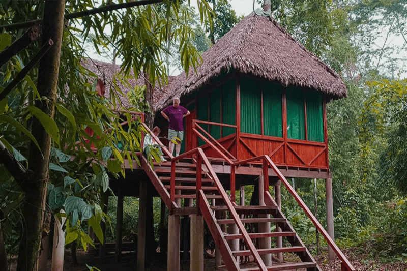 Manu Ecolodges Stand Out in the Amazon