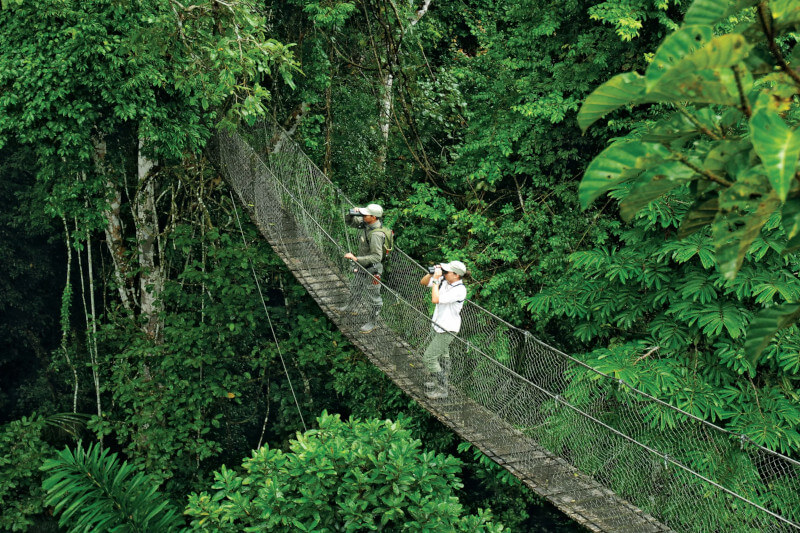 Amazon Jungle Tours Peru