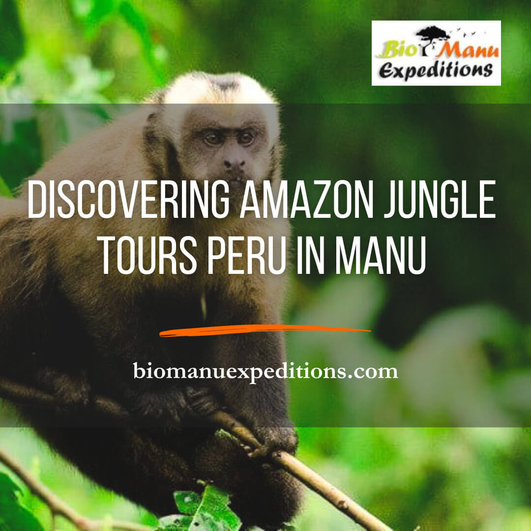 Amazon Jungle Tours Peru