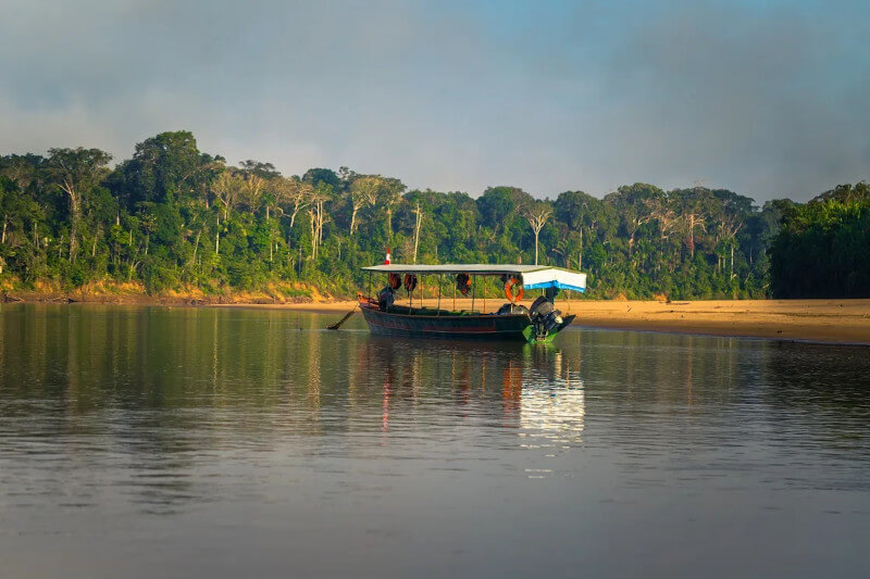 Best Time to Visit Amazon Rainforest