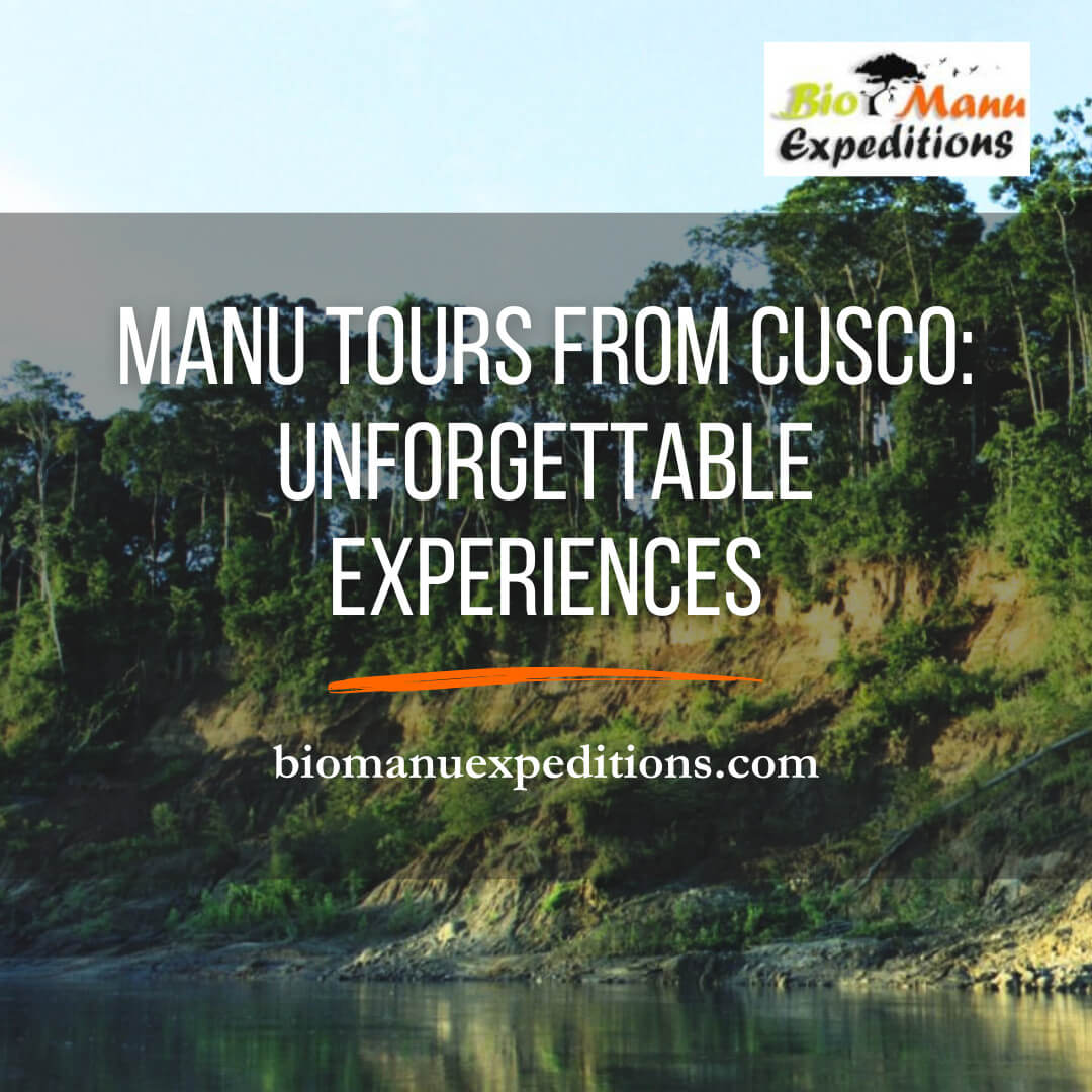 Manu Tours from Cusco