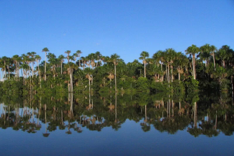 Manu Tours from Cusco