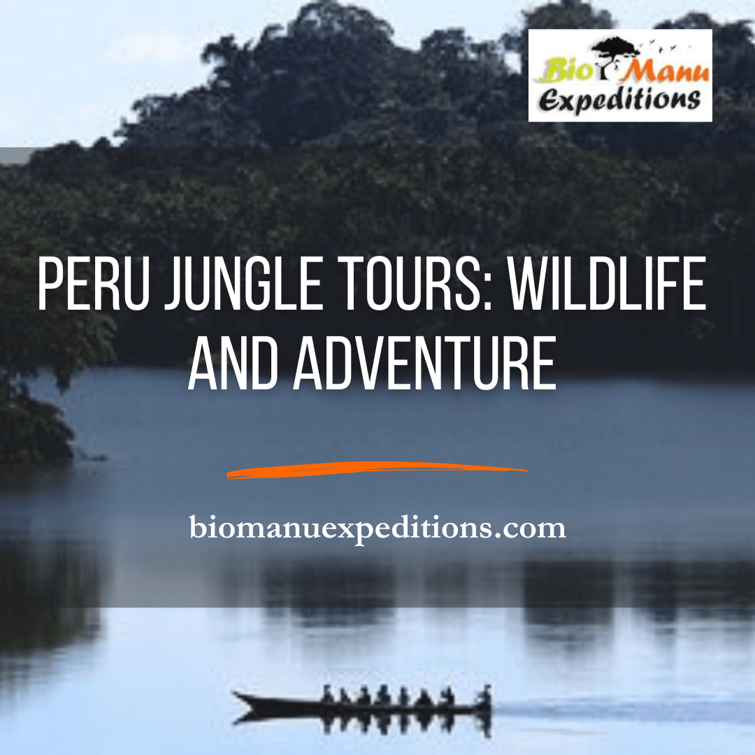 peru jungle tours