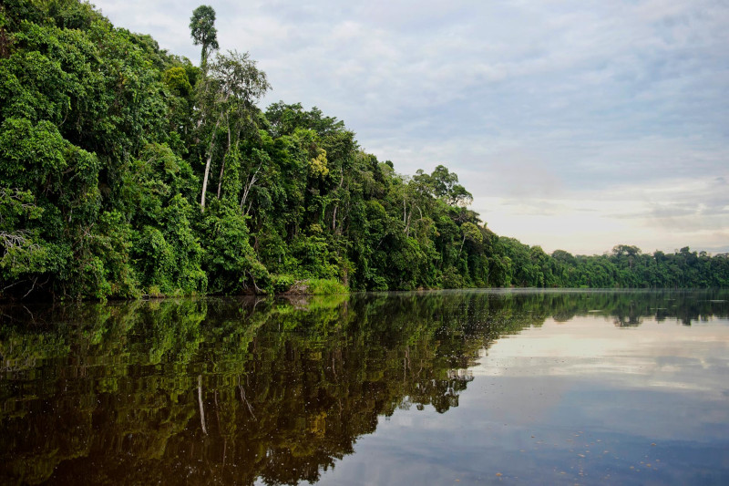 Puerto Maldonado Amazon Tours