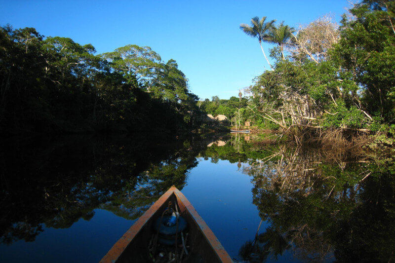 amazon rainforest tours peru 