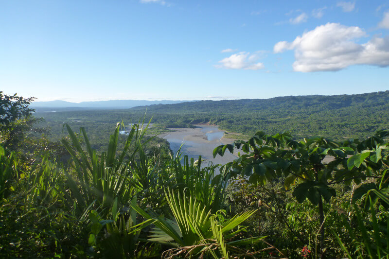 Manu peru