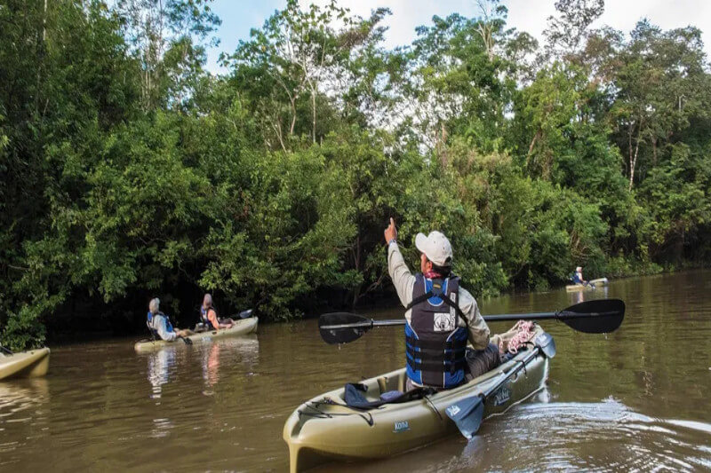 Peruvian Amazon Rainforest