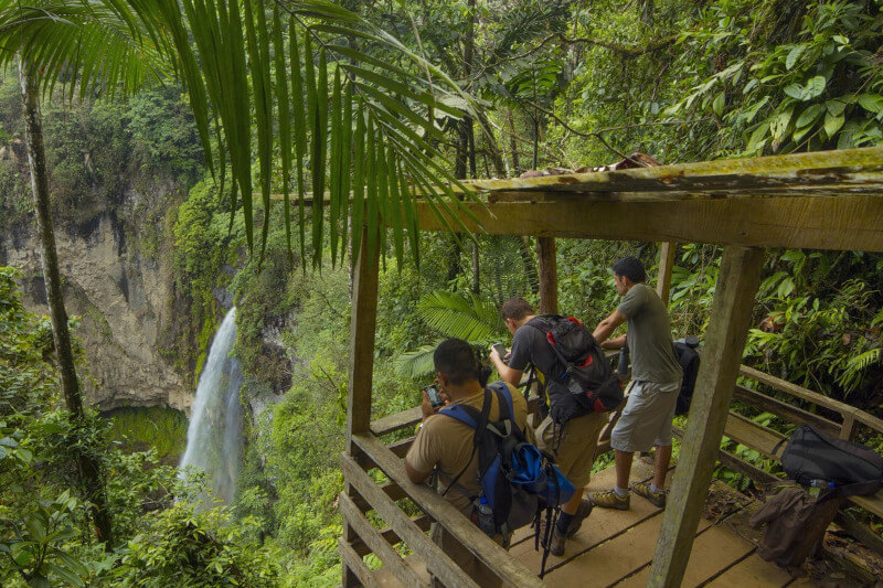 Peruvian Amazon Rainforest