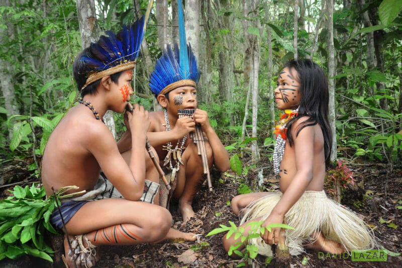 Amazon Rainforest Weather, Peruvian Amazon River: A Biodiversity Hotspot