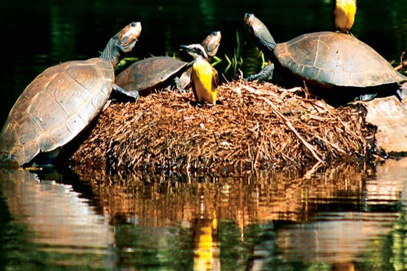 sandoval lake 