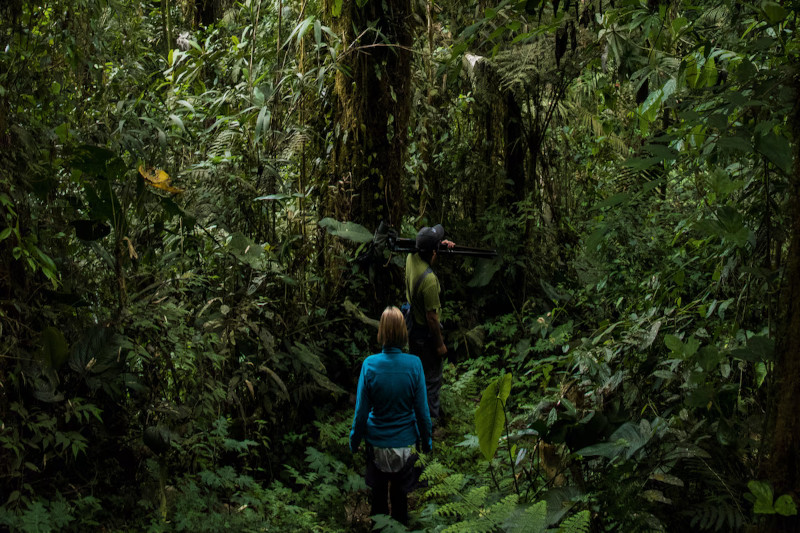 Cusco Amazon Jungle Tour 