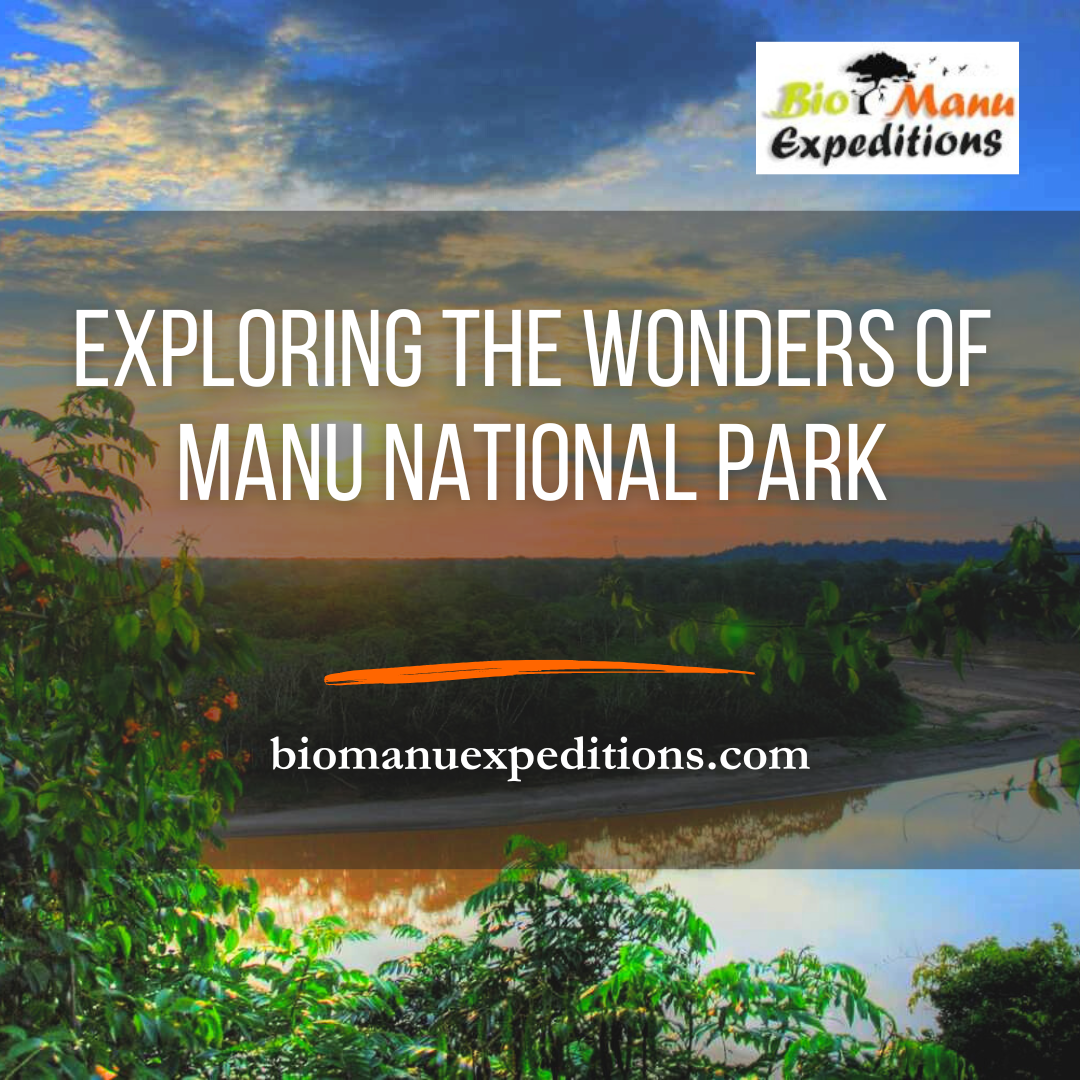 Exploring the Wonders of Manu National Park