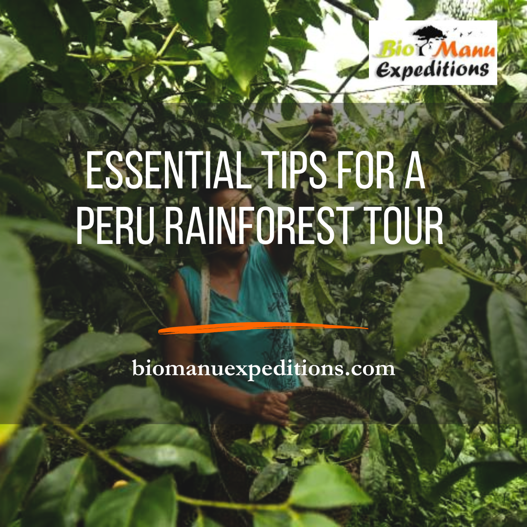 Peru Rainforest Tour