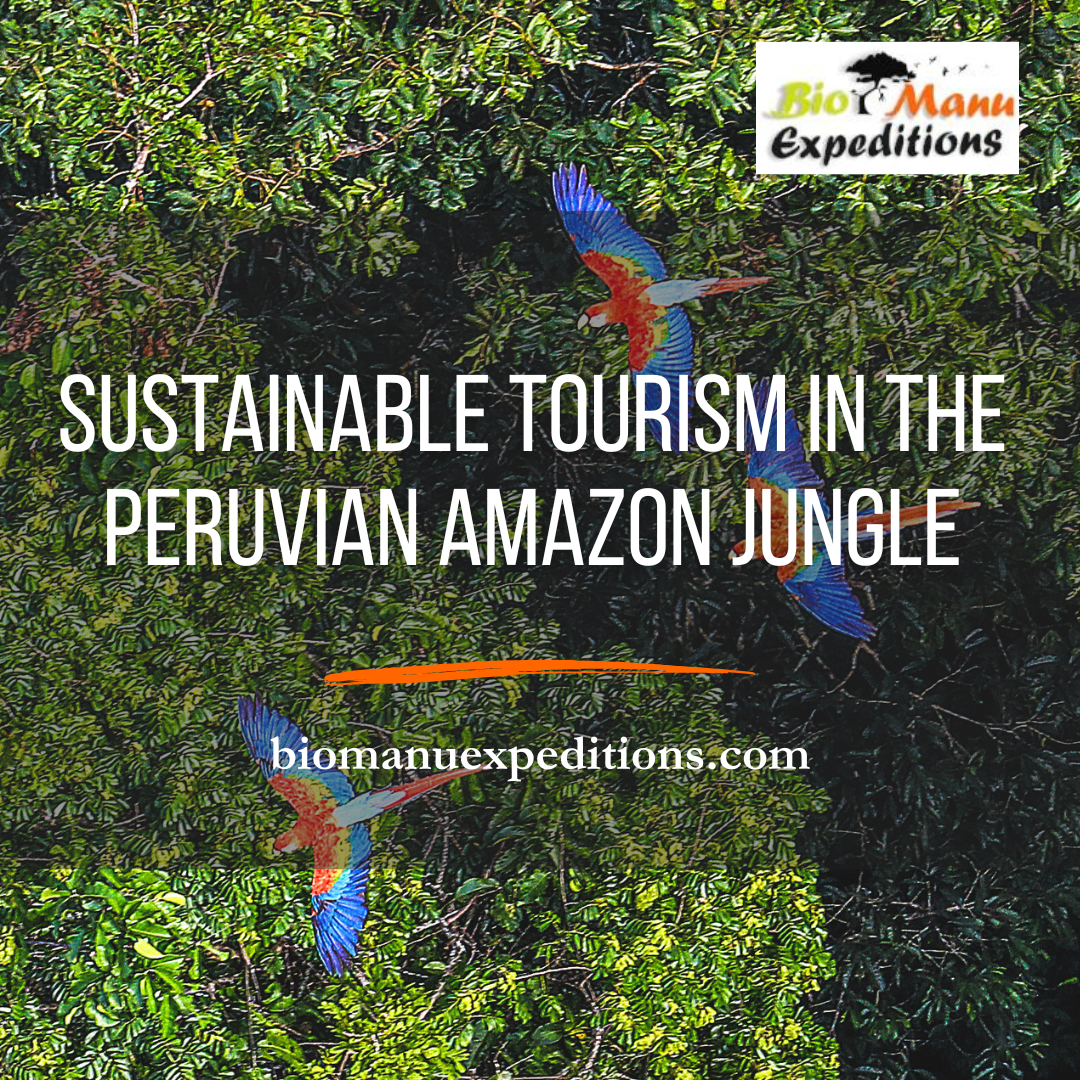 Sustainable Tourism in the Peruvian Amazon Jungle