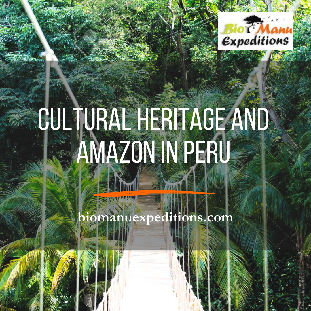 Amazon In peru