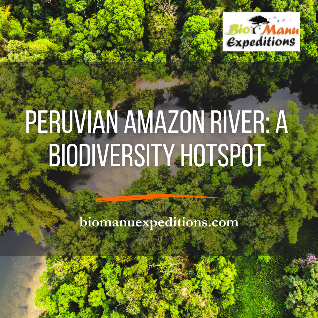 Peruvian Amazon River: A Biodiversity Hotspot