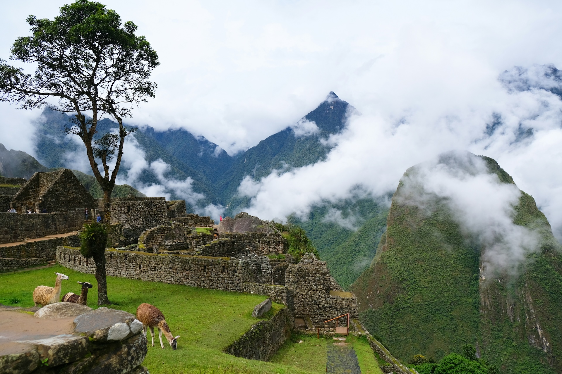how to get to machu pichu​