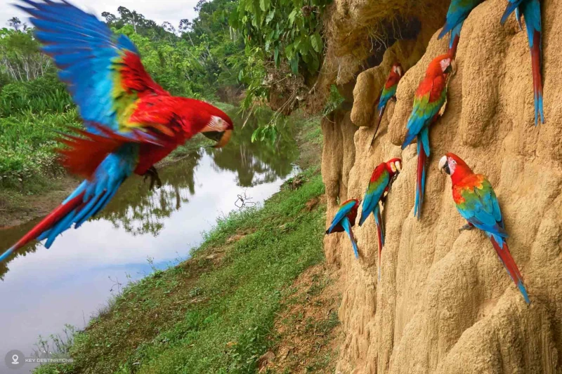 peru travel packages 